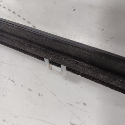 Acura ILX Door Glass Window Weather Strip Trim Rear Left Driver Back  