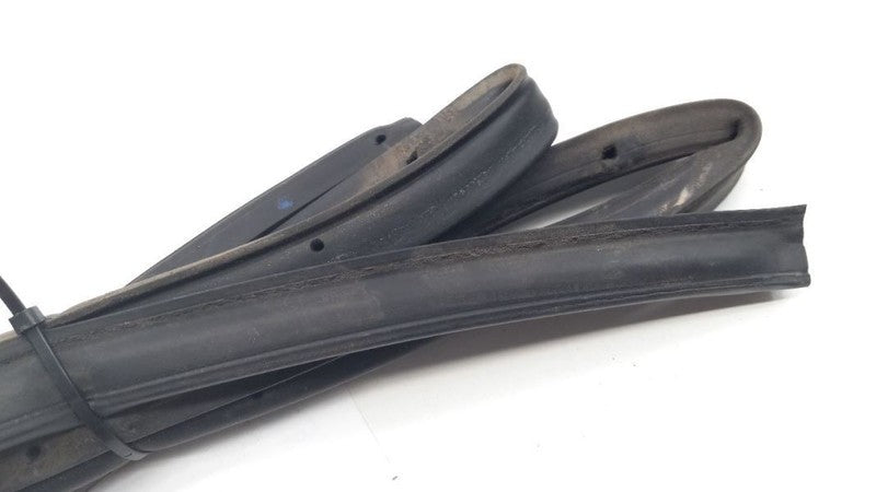 Nissan Sentra On Door Seal Rubber Right Passenger Front 2006 2005 2004 2003 2002