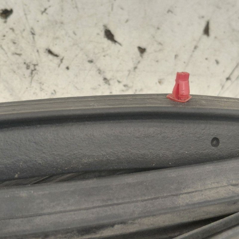Nissan Versa Note On Door Seal Rubber Right Passenger Rear Back  2019 