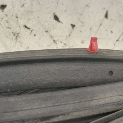 Nissan Versa Note On Door Seal Rubber Right Passenger Rear Back  2019 