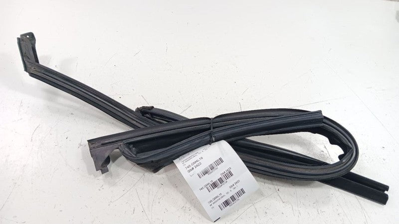 Buick Lacrosse Door Glass Window Seal Rubber Right Passenger Front 201