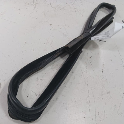 Ford Ecosport Door Glass Window Seal Rubber Right Passenger Front 2022
