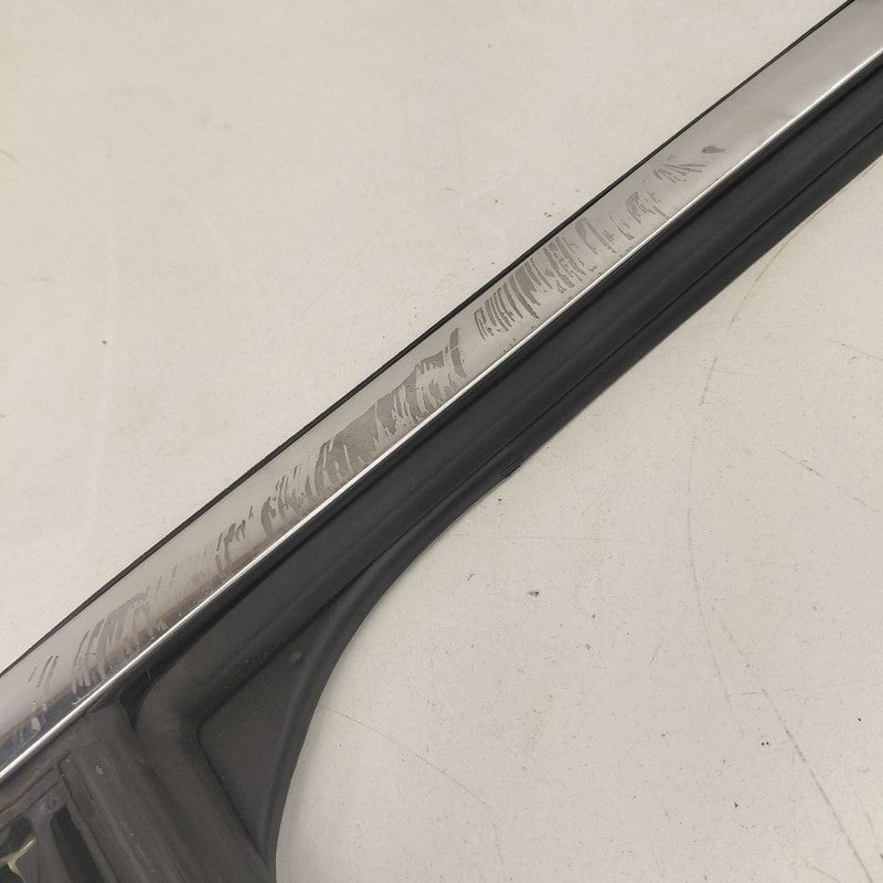 Ford Escape Door Glass Window Seal Rubber Left Driver Rear Back  2020 