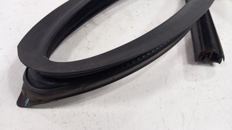 Chevy Trailblazer Door Glass Window Seal Rubber Right Passenger Front 2004