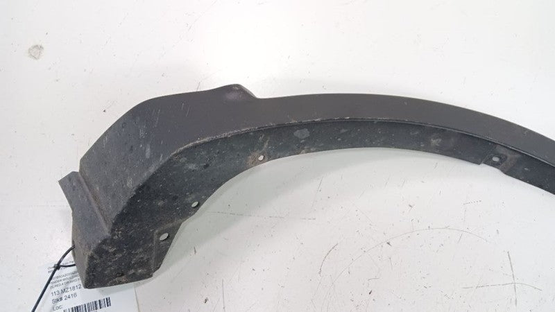 Fender Moulding Molding Trim Strip Passenger RIght Front