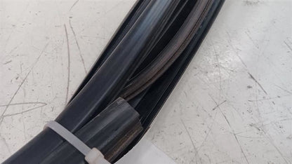 Dodge Dart Door Glass Window Seal Rubber Left Rear Back  2013 2014 2015 2