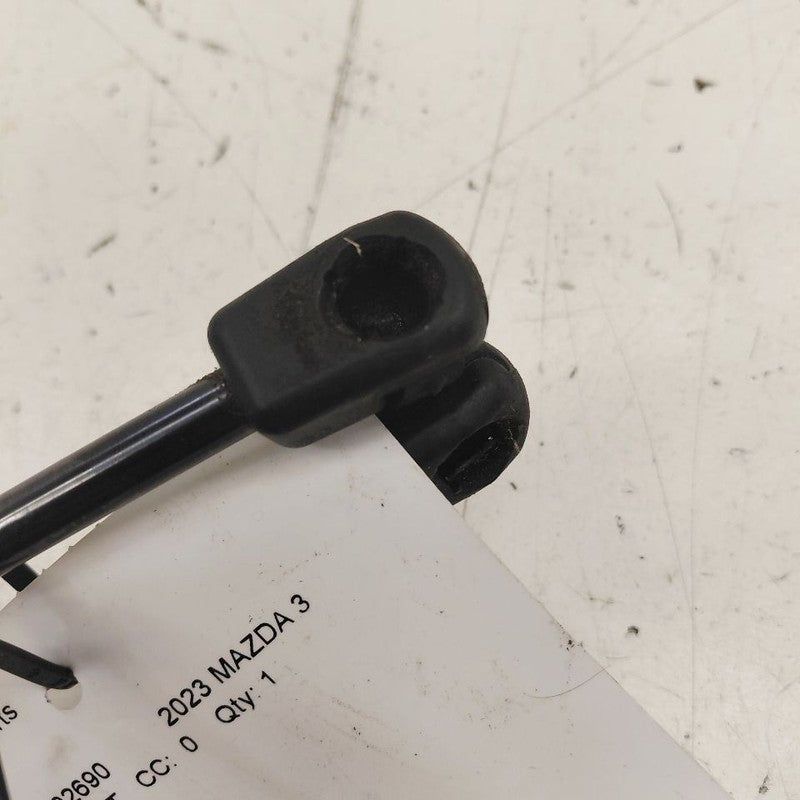 Mazda 3 Hatchback Hatch Back Trunk Lid Shock Strut Support  2023 2022 