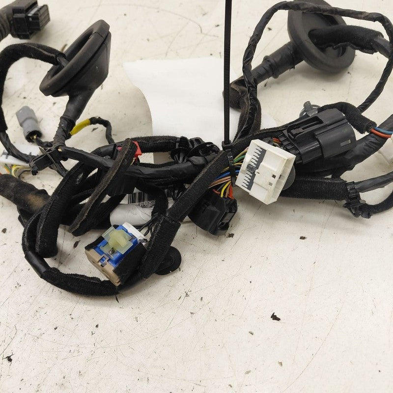 Kia Sorento Door Harness Wire Wiring Right Passenger Front  2018 2017 