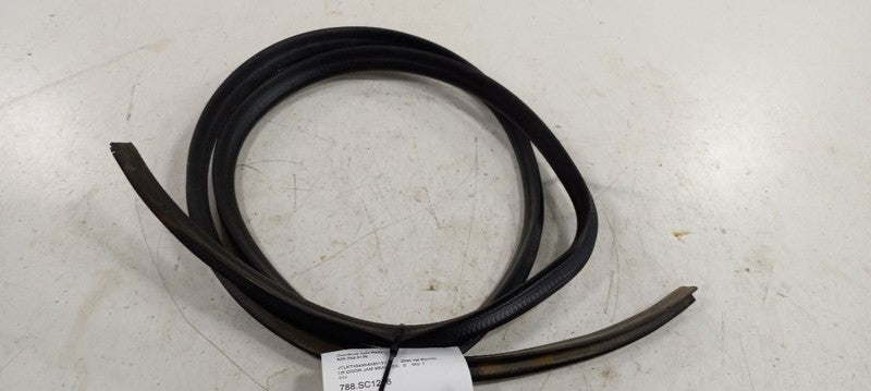 Scion XB On Body Door Jamb Seal Rear Left Back 2004 2005 2006 OEM