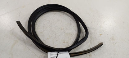 Scion XB On Body Door Jamb Seal Rear Left Back 2004 2005 2006 OEM