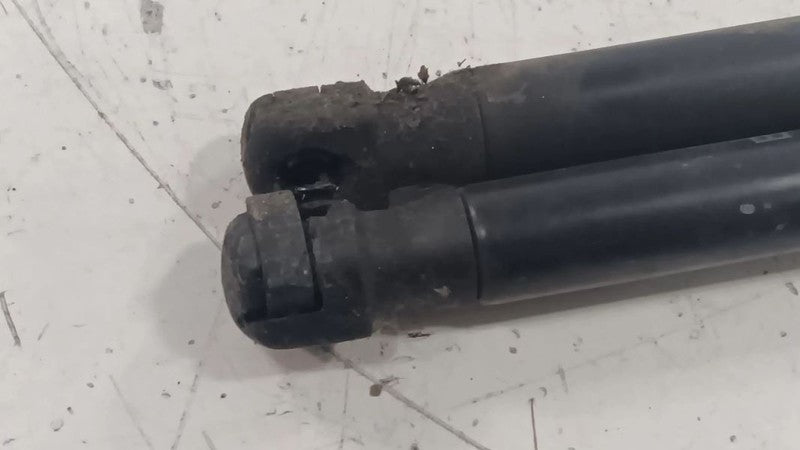 Chrysler 200 Hood Strut Shock Support  2015 2016 2017 OEM