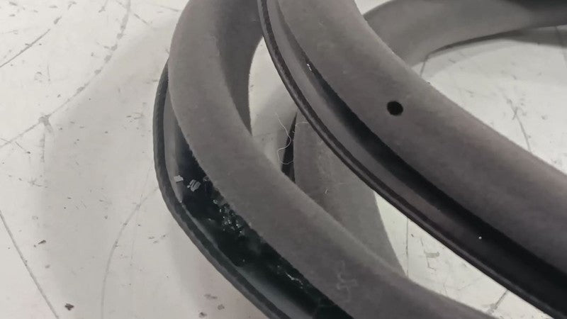 Lexus LS460 On Body Door Jamb Seal Rear Left Back  2007 2008 2009 OEM
