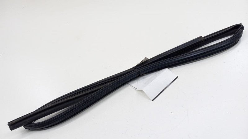 Honda Civic Door Glass Window Seal Rubber Left Rear Back 2006 2007 2008 2009 10
