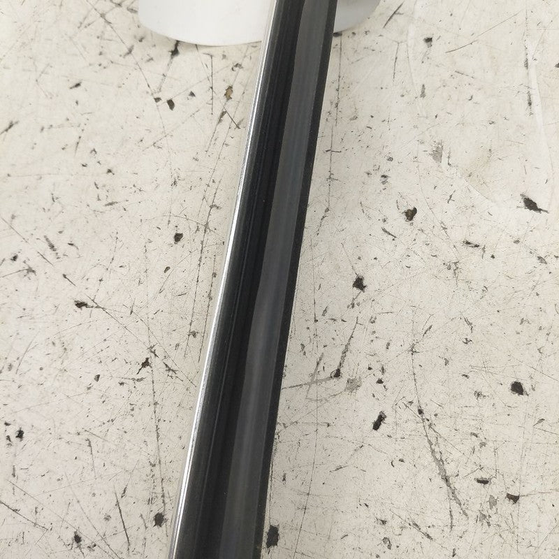 Cadillac CT6 Door Glass Window Weather Strip Trim Rear Right Passenger