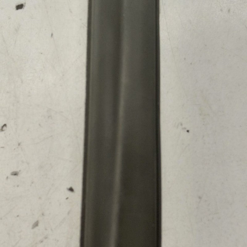 Buick Encore GX Door Glass Window Weather Strip Trim Rear Left Driver 