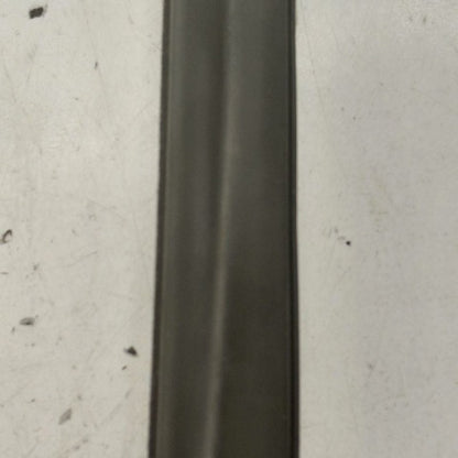 Buick Encore GX Door Glass Window Weather Strip Trim Rear Left Driver 