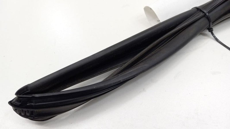 Sentra Door Glass Window Seal Rubber Gasket Left Rear Back 2007 2008 2009
