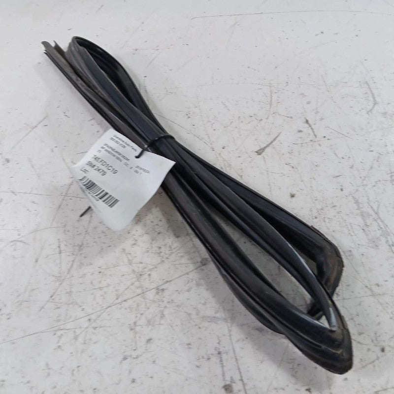 Ford Fiesta Door Glass Window Seal Rubber Right Passenger Front  2014 