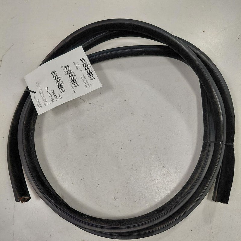 Chrysler 300 On Body Door Jamb Seal Gasket Front Left Driver  2017 201