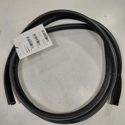 Chrysler 300 On Body Door Jamb Seal Gasket Front Left Driver  2017 201