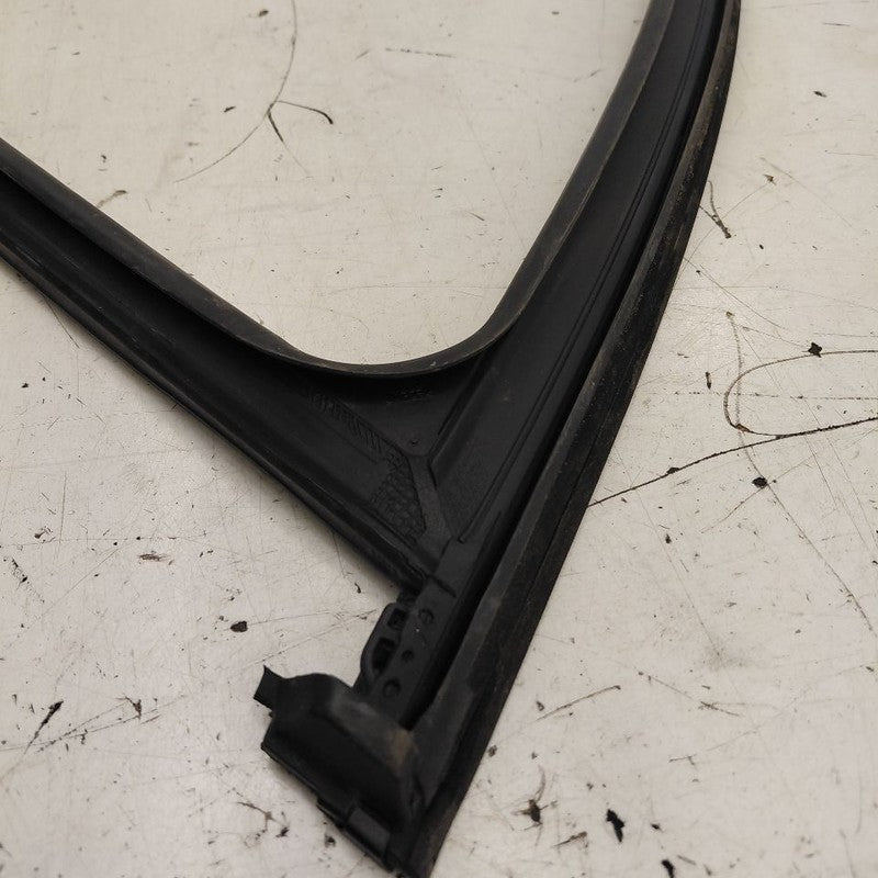 Kia Sorento Door Glass Window Seal Rubber Right Passenger Front  2018 