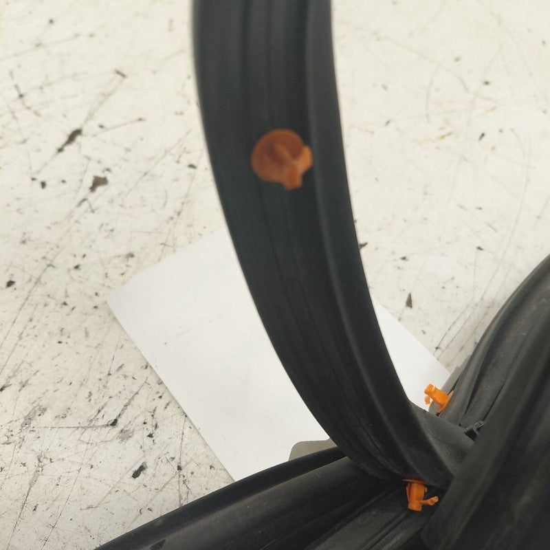 Ford Edge On Door Seal Rubber Left Driver Front  2019 2020 2021 2022