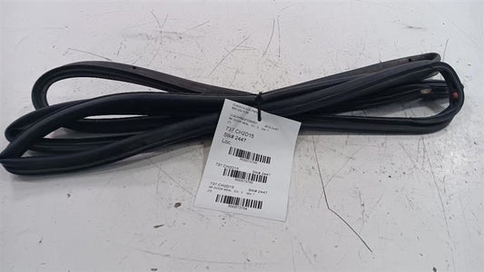 Dodge Dart On Door Seal Rubber Right Passenger Front  2013 2014 2015 2016