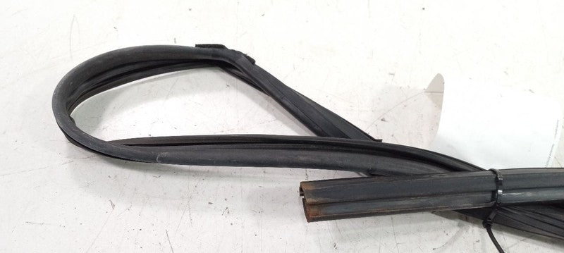 Hyundai Sonata Door Glass Window Seal Rubber Left Driver Front 2011 20