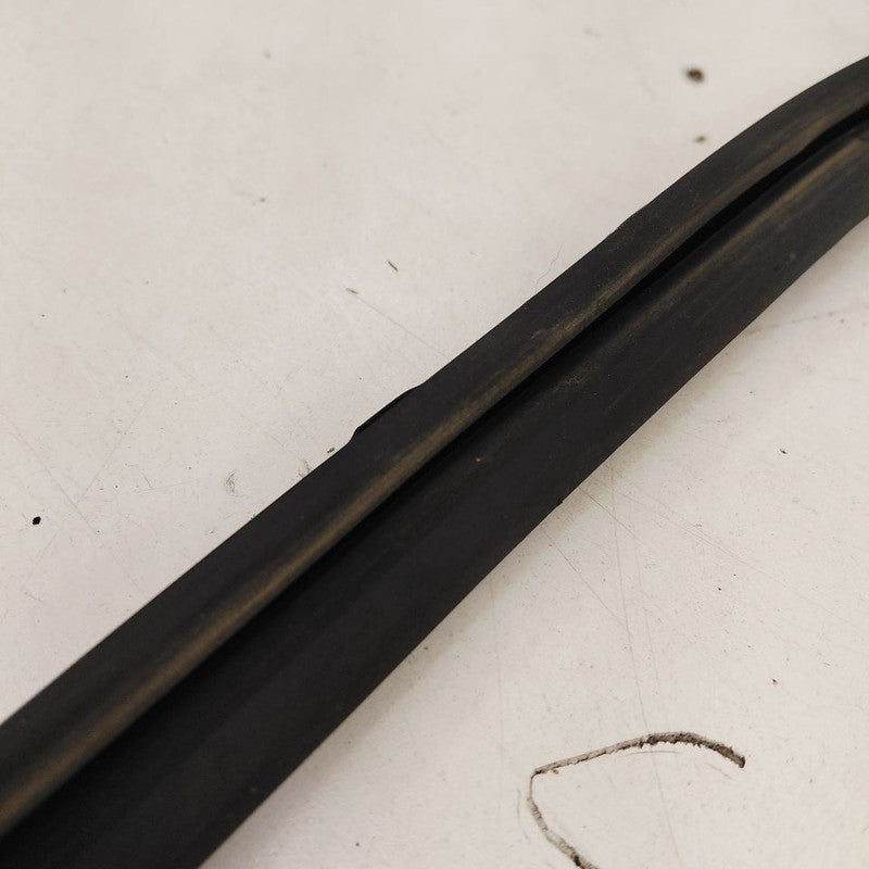 Chevy Trailblazer Door Glass Window Seal Rubber Left Driver Front 2023