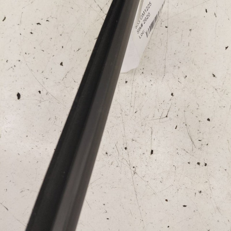 Chevy Trax Left Front Weather Strip Interior  2025 2024