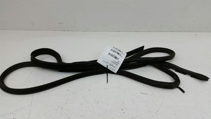 Nissan Sentra On Door Seal Rubber Gasket Right Passenger Rear Back OEM 2007 2008