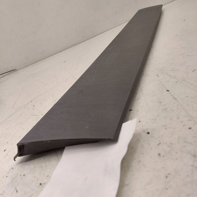Chevy Trax Door Molding Trim Strip Left Driver Front  2022 2021