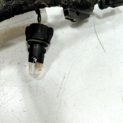 Ford Ecosport License Plate Lights {GN1517N400 } 2018 2019 2020 2021 2022