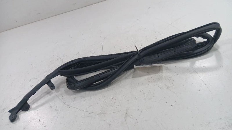 Chevy Volt On Door Seal Rubber Right Passenger Front  2011 2012 2013 2