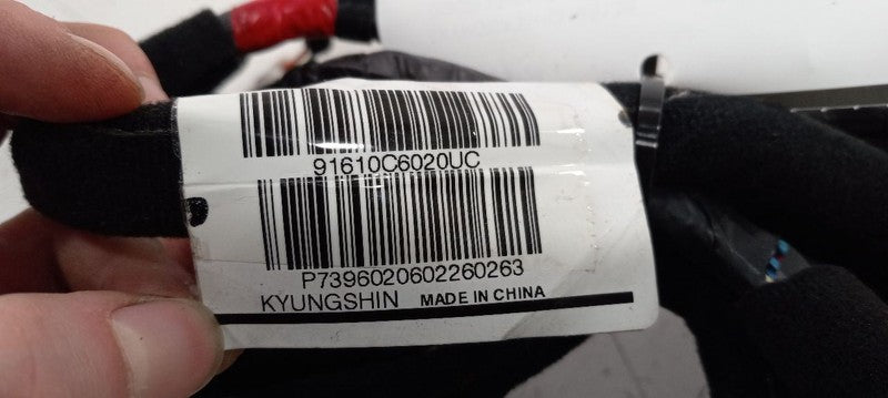 Kia Sorento Door Harness Wire Wiring Right Passenger Front 2017 