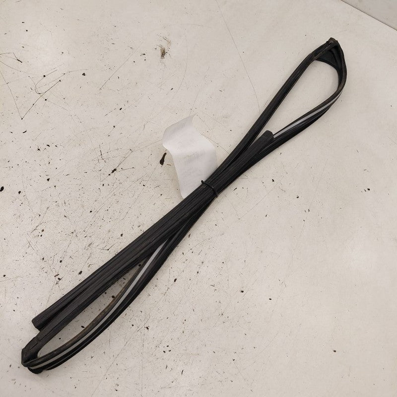 Honda CR-V Door Glass Window Seal Rubber Right Passenger Front  2019 2