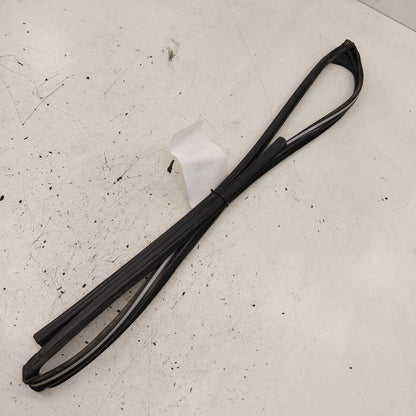 Honda CR-V Door Glass Window Seal Rubber Right Passenger Front  2019 2