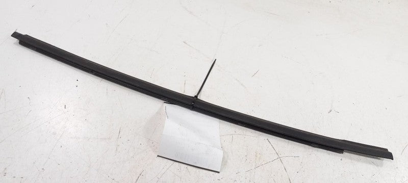 Hyundai Veloster Door Glass Window Weather Strip Trim Rear Right Passe