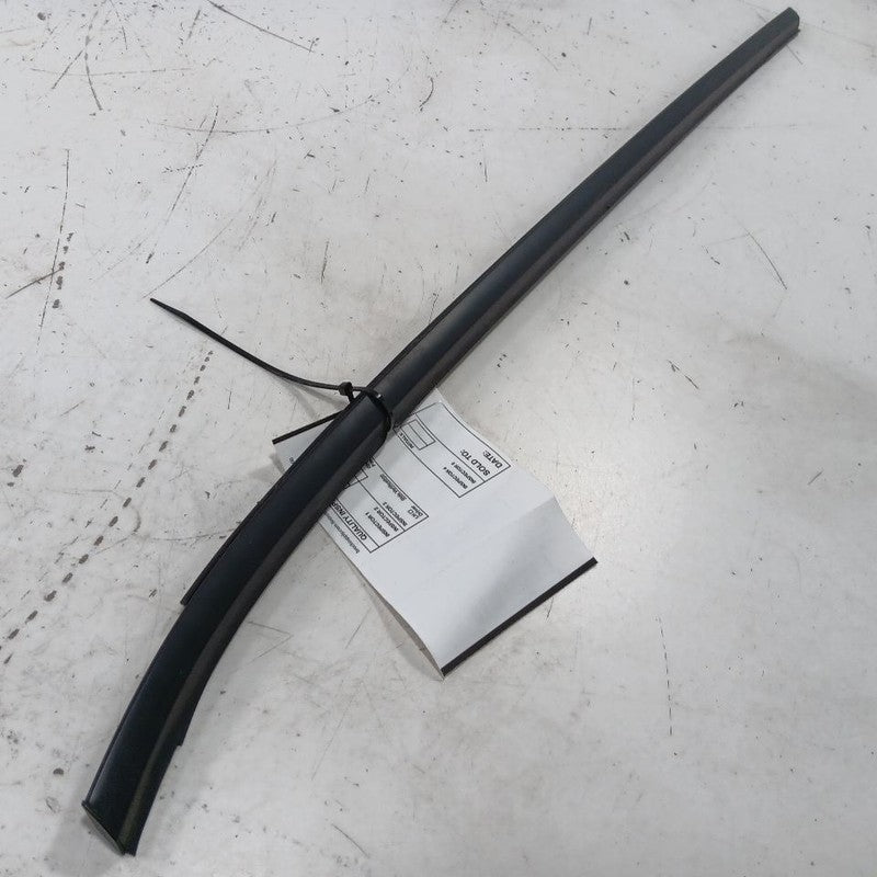 Nissan LEAF Door Glass Window Weather Strip Trim Rear Left Driver Back 2013 2014