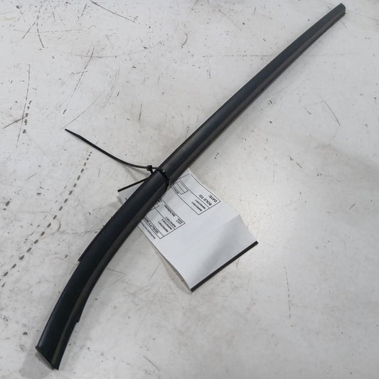 Nissan LEAF Door Glass Window Weather Strip Trim Rear Left Driver Back 2013 2014