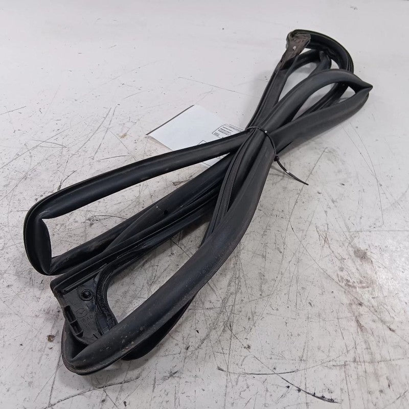 Mazda CX-9 On Door Seal Rubber Left Rear Back  2016 2017 2018 OEM