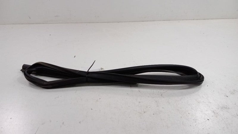 Dodge Journey Door Glass Window Seal Rubber Right Passenger Rear Back 