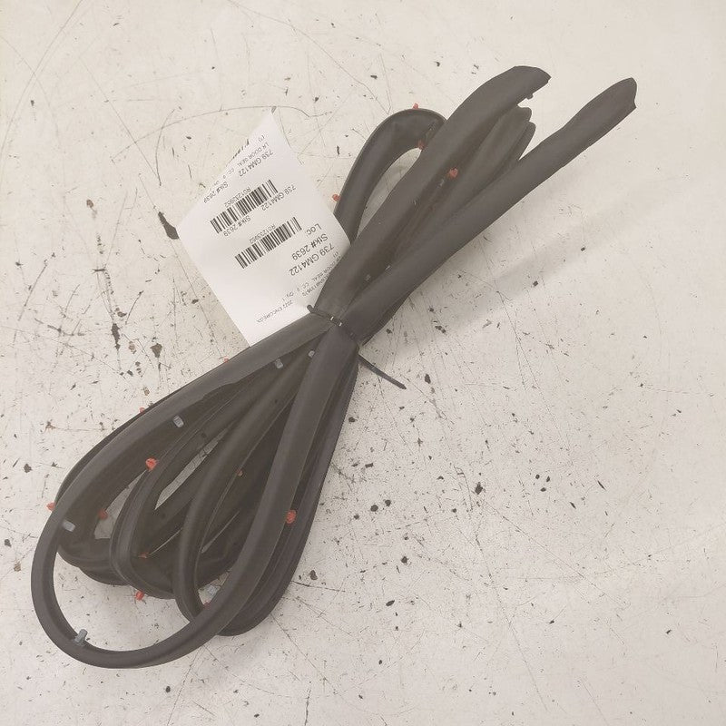 Buick Encore GX On Door Seal Rubber Left Driver Rear Back  2022 2023 2
