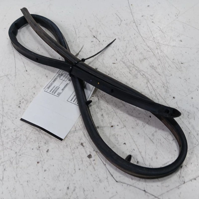 Fiat 500 On Door Seal Rubber Left Rear Back 2018 OEM