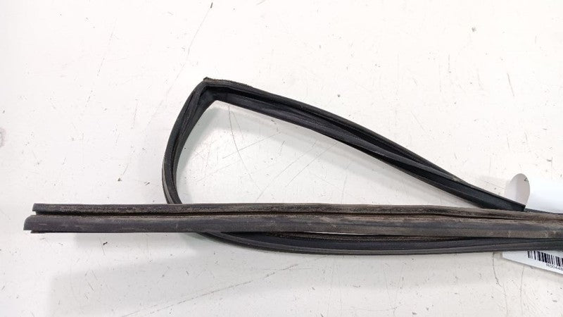Honda Insight Door Glass Window Seal Rubber Right Passenger Front 2010