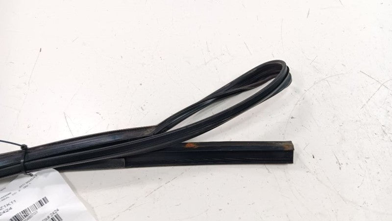 Mazda 3 Door Glass Window Seal Rubber Right Passenger Front 2010 2011 