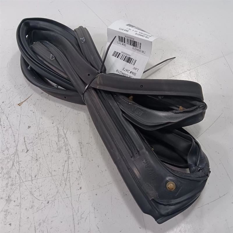 Buick Encore On Door Seal Rubber Right Passenger Rear Back  2018 2019 