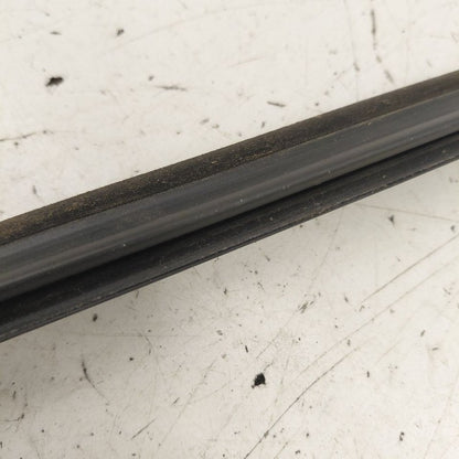 Fiat 500 X Model Door Glass Window Weather Strip Trim Rear Left Driver