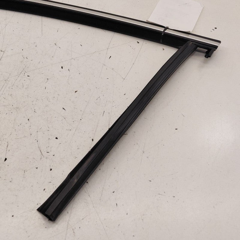 Volvo S60 Door Glass Window Seal Rubber Left Driver Front  2018 2017 2