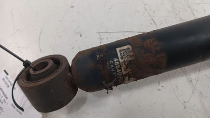 Left Strut Rear RWD Without Air Suspension Fits 07-12 LEXUS LS460 OEM